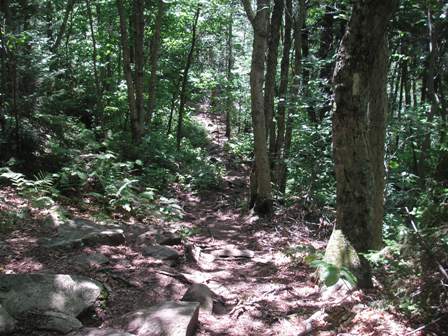 LT/AT to Stratton Mtn